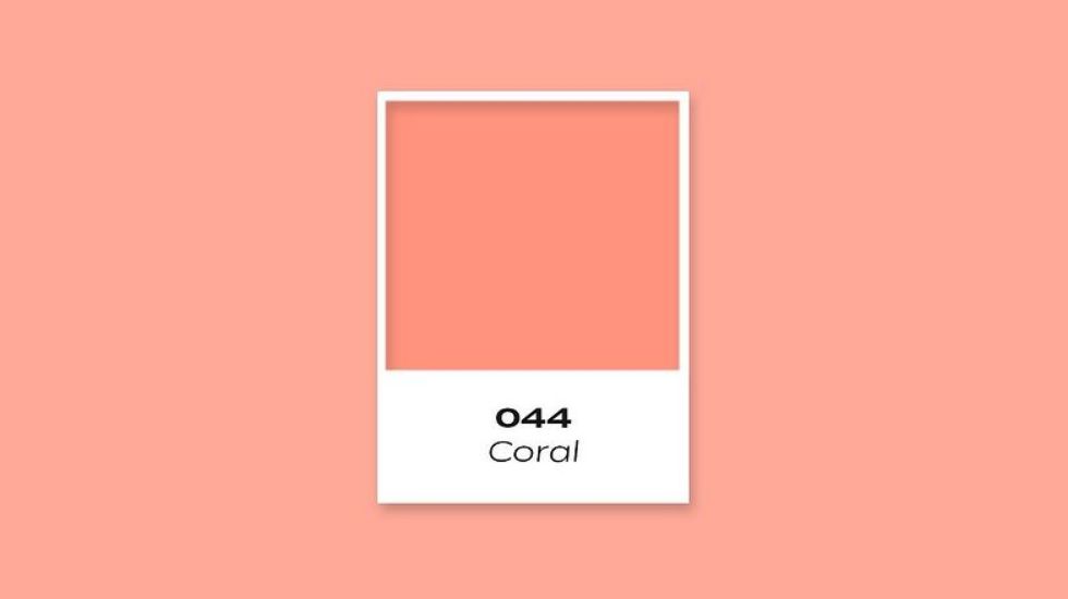 Color: Coral（コーラル）Code: 044