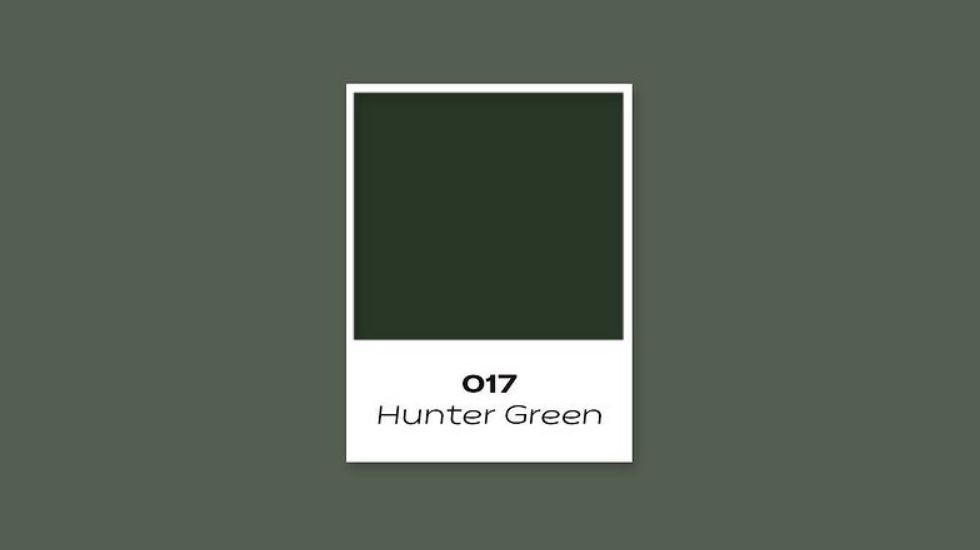 Color: Hunter Green（ハンターグリーン）Code: 017